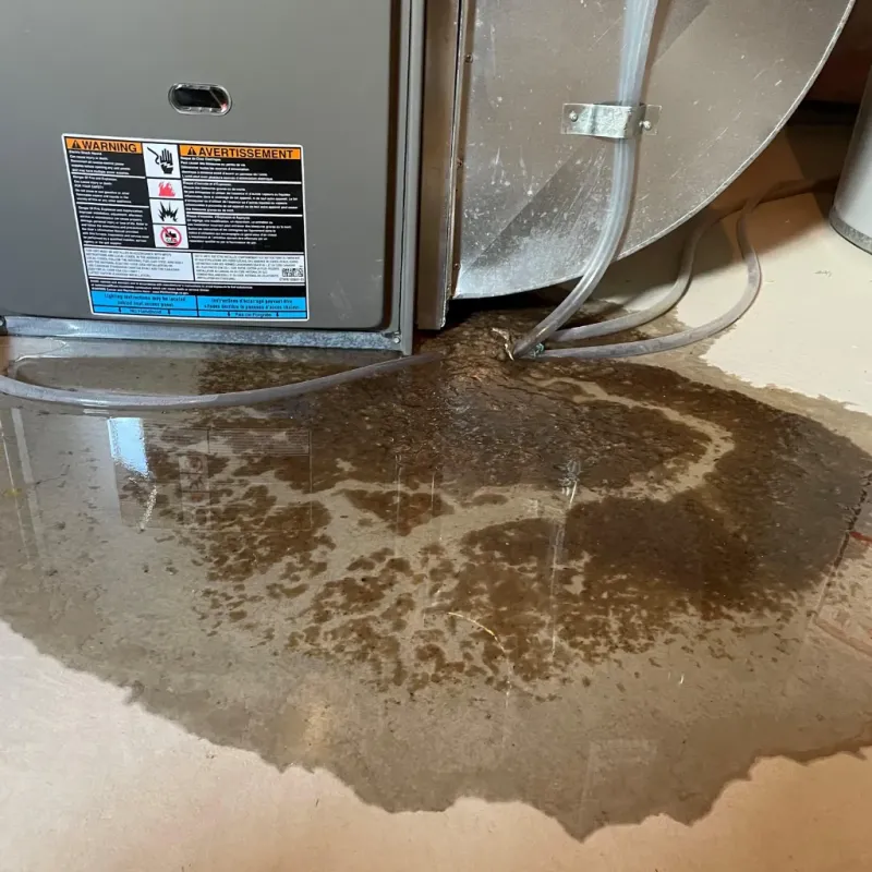 Appliance Leak Cleanup in New Summerfield, TX